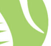 Logo Clait et Net